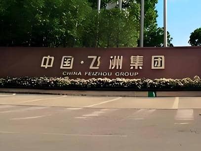 飞洲集团股份